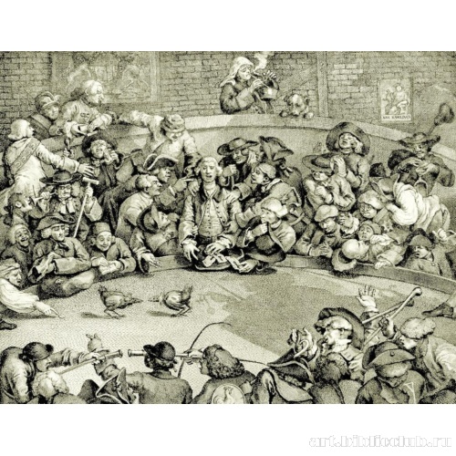 Петушиный бой