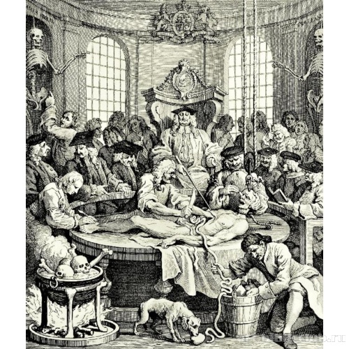 Серия «Четыре степени жестокости» [04], Возмездие за жестокость