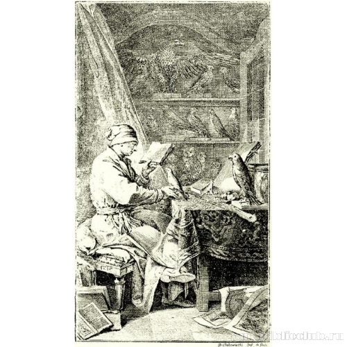 Фронтиспис к «Натуральной истории птиц» Бюффона