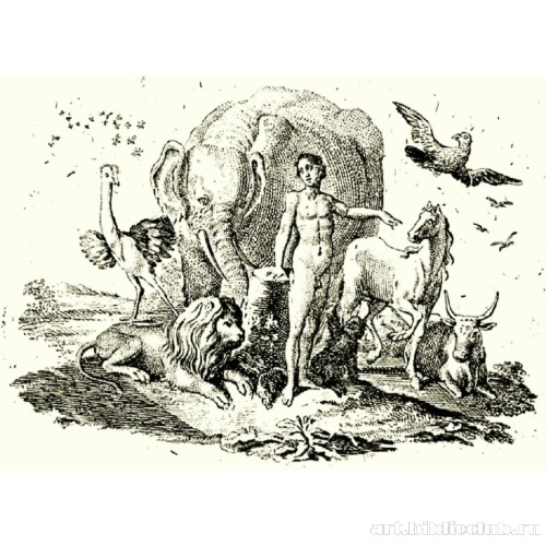 Иллюстрация к первой части «Натуральной истории» Бюффона