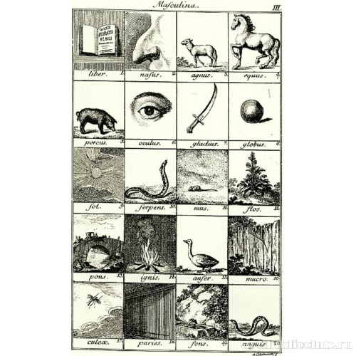 Иллюстрация к «Начальному курсу латинского языка» И. M. Ф. Шульце