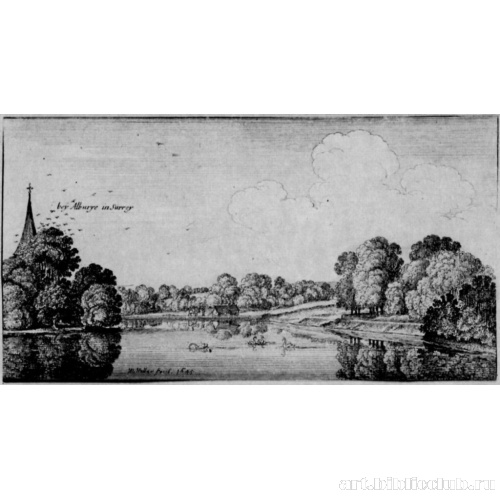 Окрестности Олбери в Суррее