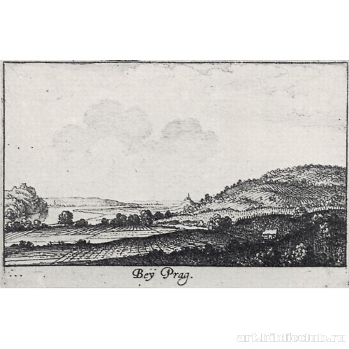 Серия «Прелестнейшие виды». Виноградники в окрестностях Праги