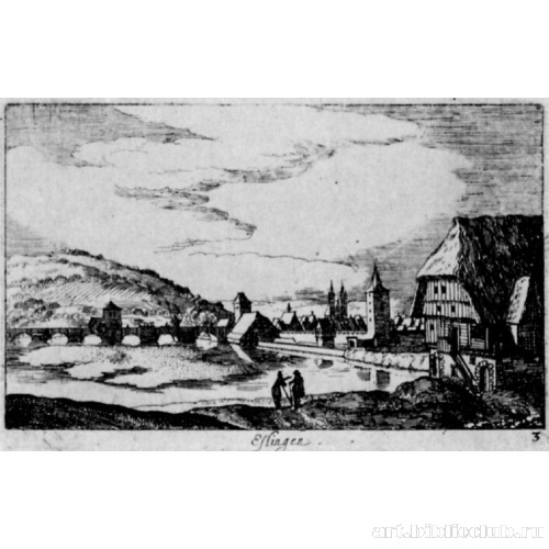 Серия «Малые виды». Эсслинген