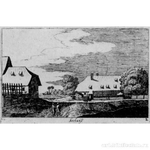 Серия «Малые виды». Кохаус