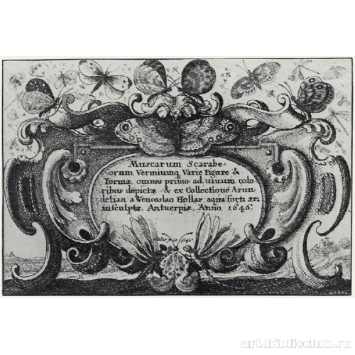 Фронтиспис с изображением насекомых