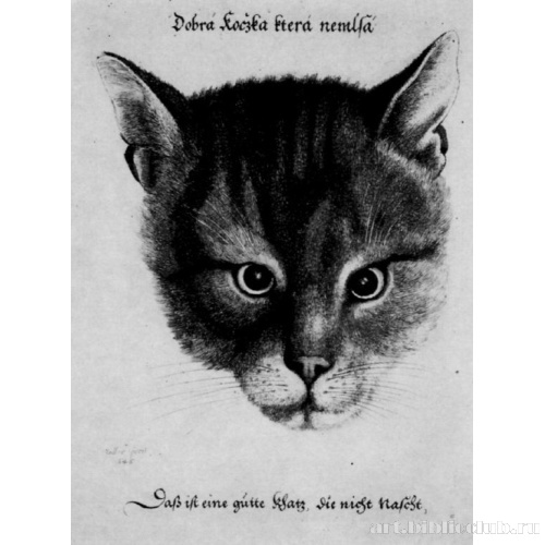 Голова кота