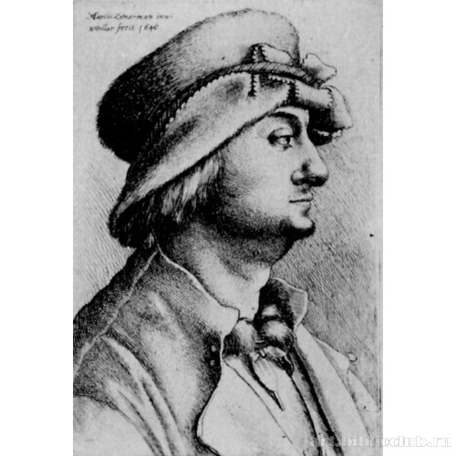 Мужская голова в профиль [по рисунку Мартина Шонгауэра]