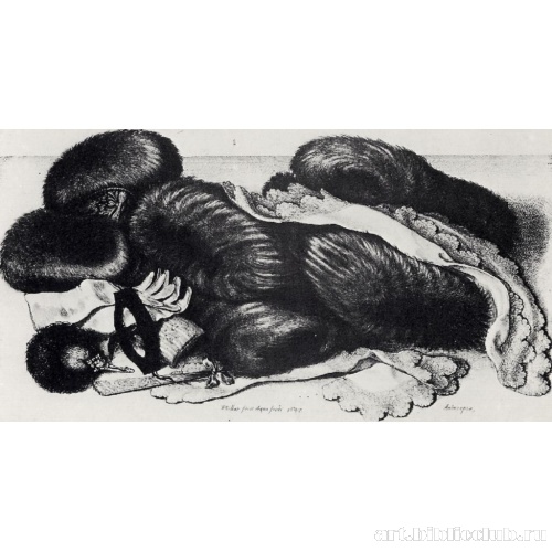 Натюрморт с мехами