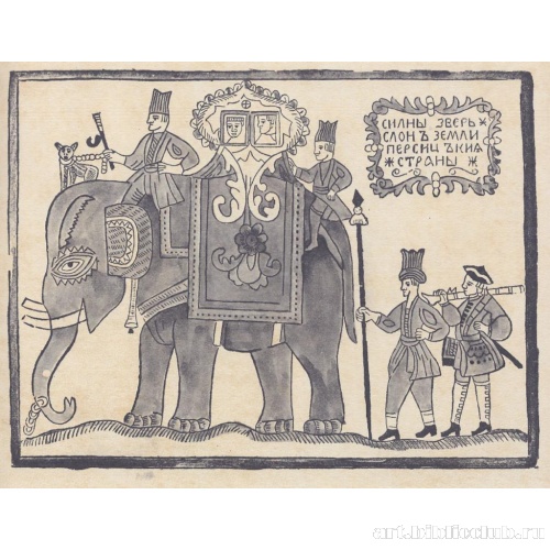 Сильный зверь слон из земли Персиянской страны