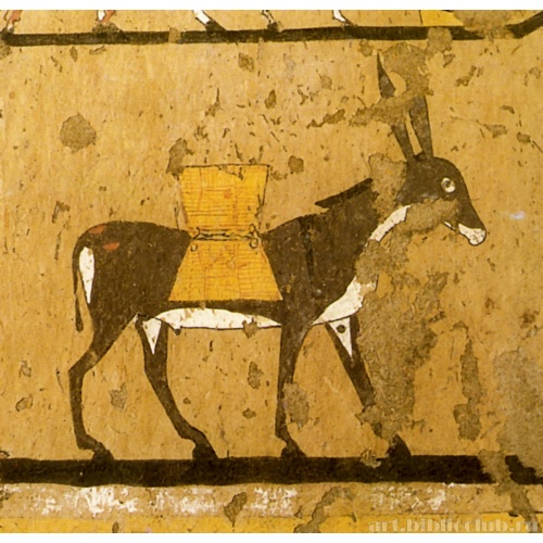 Мастаба Ити: осел, нагруженный мешками