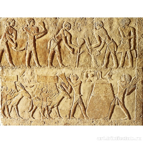 Сцена сбора урожая из гробницы Сешем-нефера IV