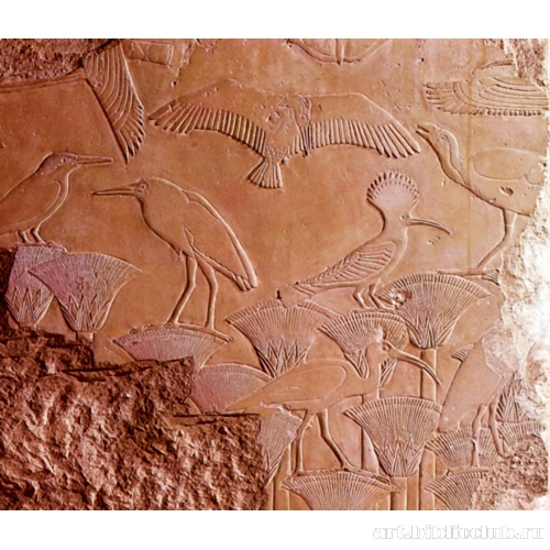 Поминальный храм Усеркафа: рельеф с изображением птиц в зарослях папируса