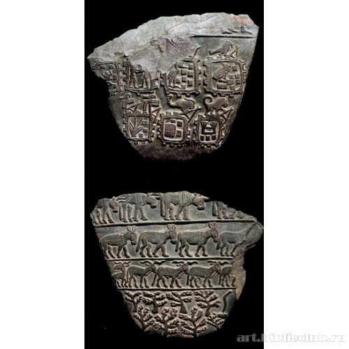 Палетка городов