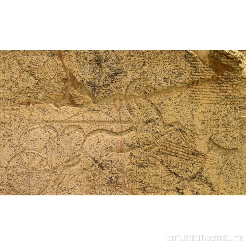 Стела Аменхотепа II (фрагмент)