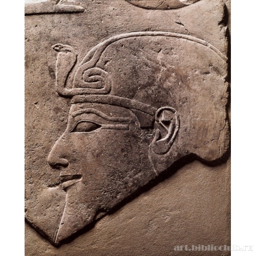 Фрагмент рельефа с изображением головы Тутмоса III