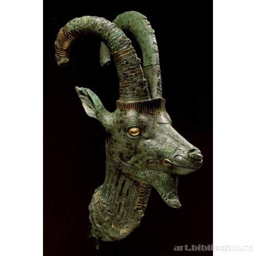 Голова козла