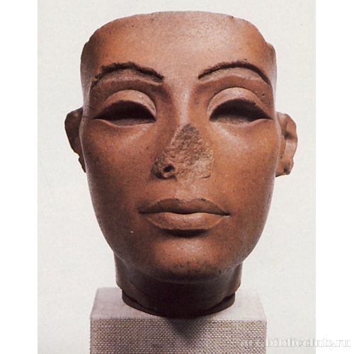 Голова царицы (Нефертити?)