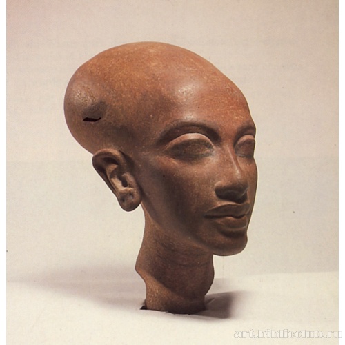 Голова царевны