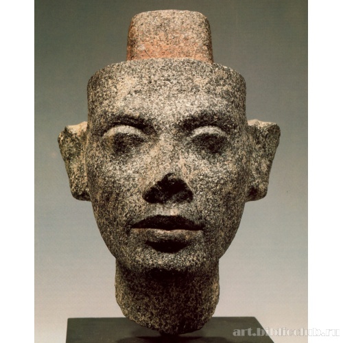 Голова Нефертити