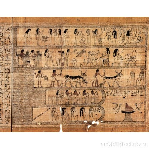 Книга мертвых Тахерит: глава 110