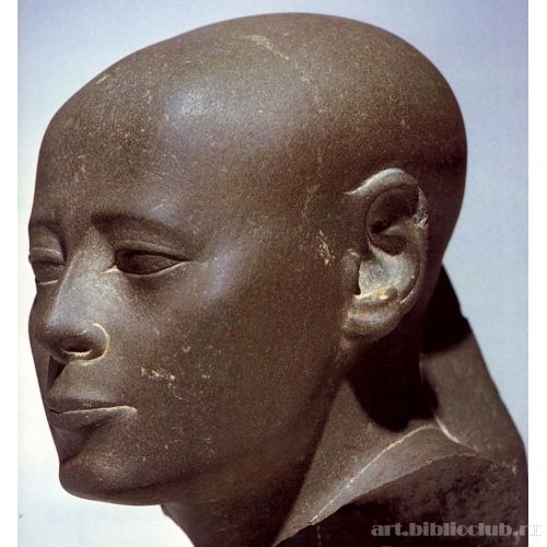 Голова жреца бога Монта Усир-ура