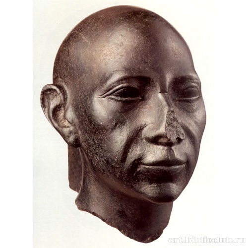 Голова мужчины