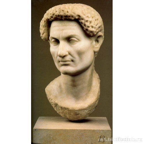 Голова немолодого мужчины