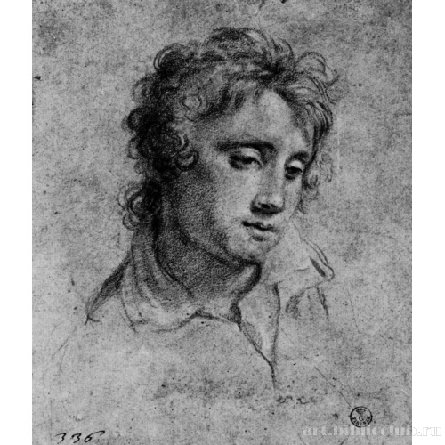 Голова юноши