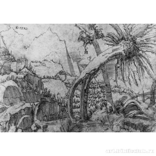 Горный пейзаж с ивами