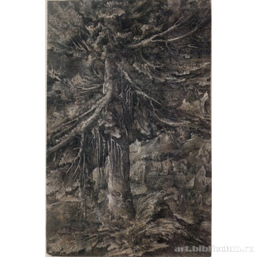 Пейзаж с большой елью