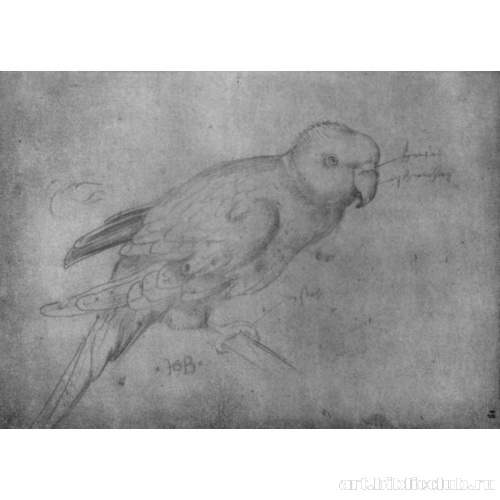 Птица, сидящая на перекладине