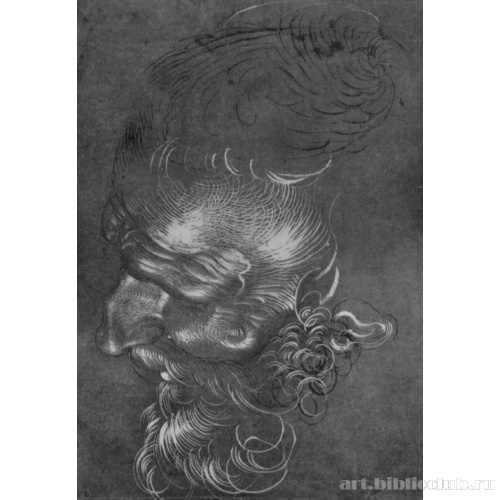 Голова старика