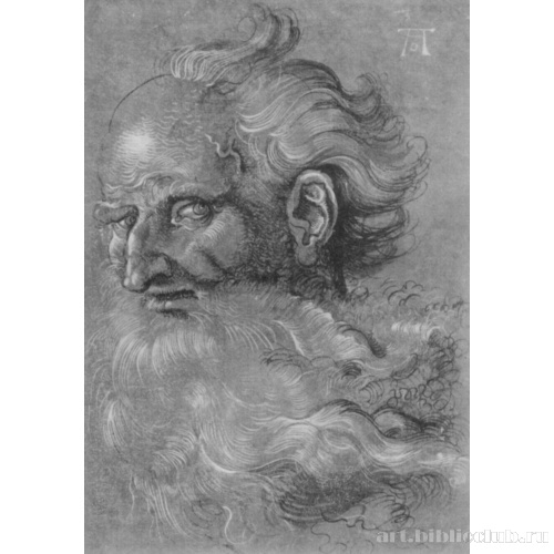 Голова апостола