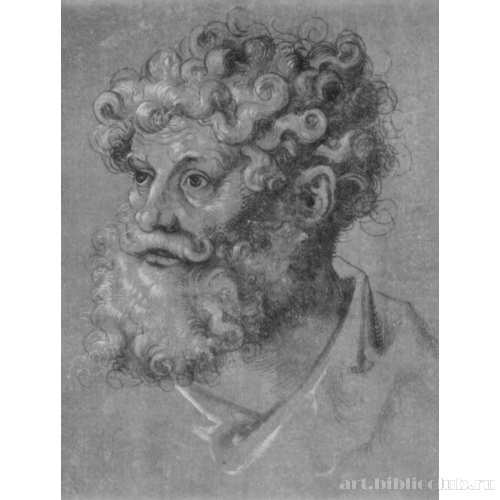 Голова апостола с курчавыми волосами и бородой