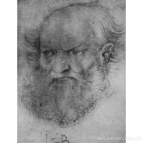 Голова бородатого мужчины