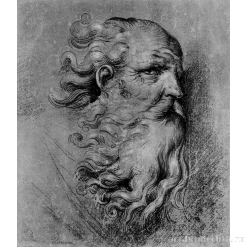 Голова бородатого старца в профиль