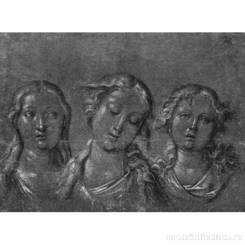 Три женские головы