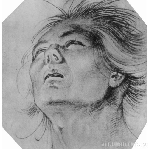 Зарисовка запрокинутой мужской головы с взлохмаченными волосами