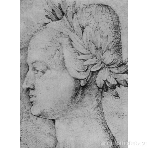 Женская идеальная голова