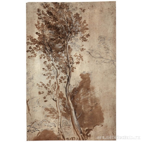 Этюд дерева