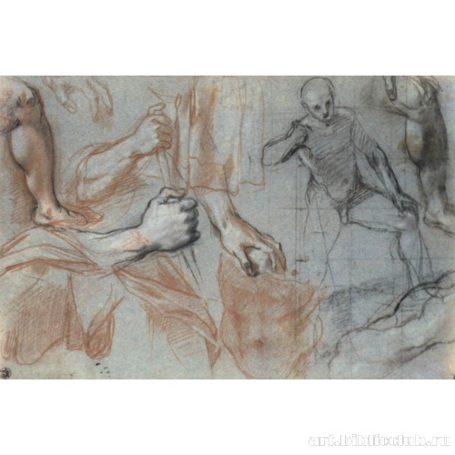 Этюды к фигуре воина