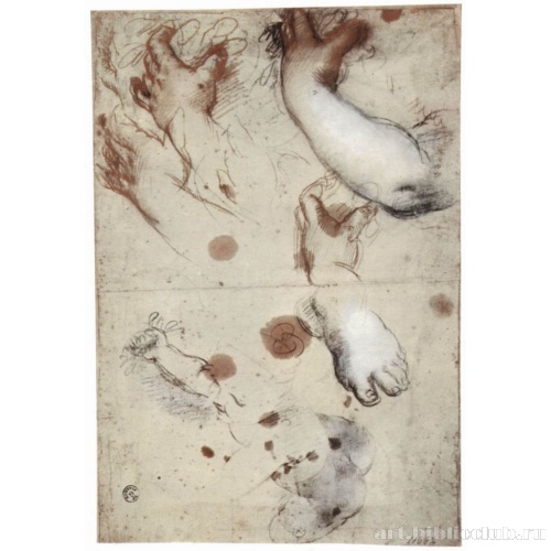 Лист с этюдами ног и рук