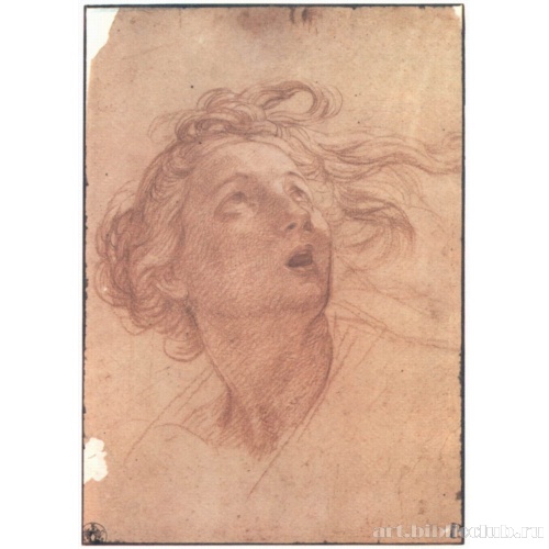 Голова женщины