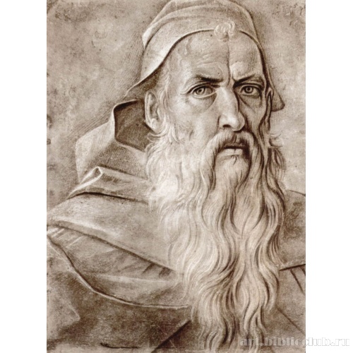 Голова старика