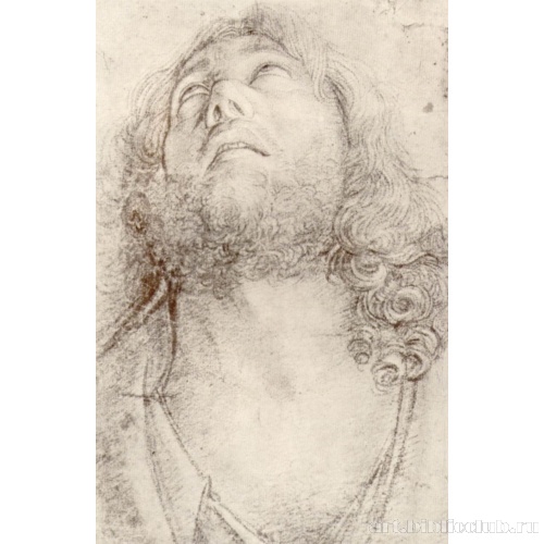 Голова смотрящего вверх мужчины