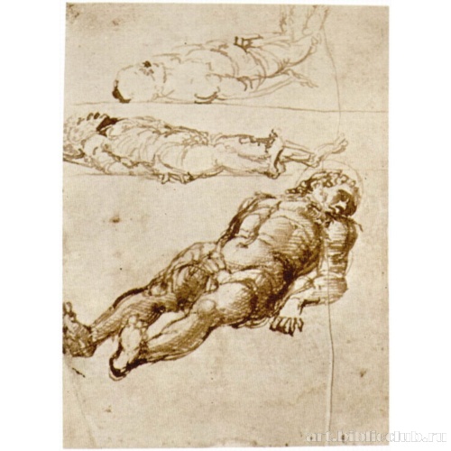 Этюды для фигуры мертвого Христа