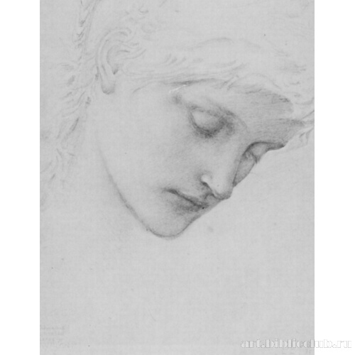 Этюд головы