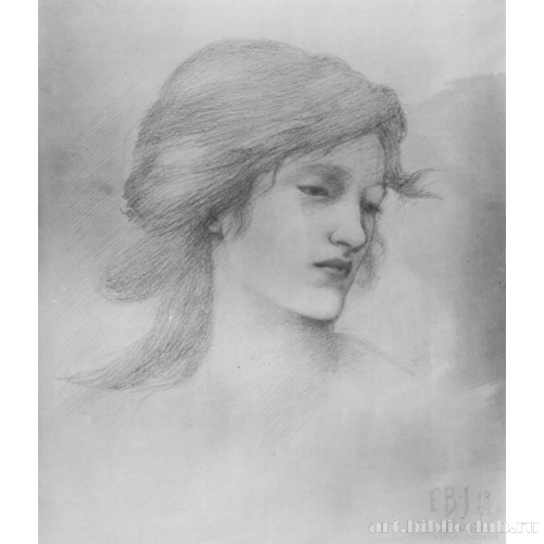 Венера - покровительница взаимной любви. Этюд головы