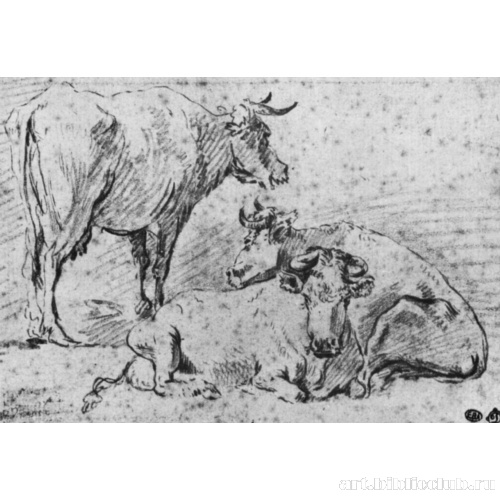 Три коровы на пастбище